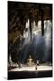 Tham Khao Luang Cave, Phetchaburi, Thailand, Southeast Asia, Asia-Andrew Taylor-Mounted Photographic Print