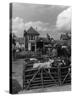 Thame Cattle Market-null-Stretched Canvas