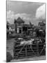 Thame Cattle Market-null-Mounted Photographic Print