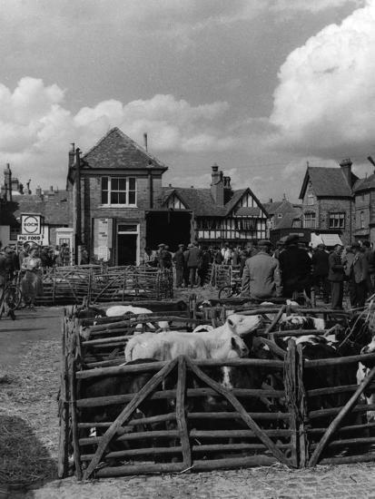 Photographic Print, , large