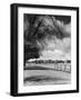 Thames and Hammersmith-null-Framed Photographic Print
