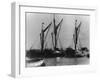 Thames Barges-null-Framed Photographic Print