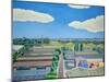 Thames Gateway, Summer, 2005/6 (Oil on Canvas)-Noel Paine-Mounted Giclee Print