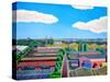 Thames Gateway Summer-Noel Paine-Stretched Canvas