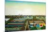 Thames Gateway Winter-Noel Paine-Mounted Giclee Print