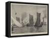 Thames Sailing-Barge Match, Topsail-Barges Starting-null-Framed Stretched Canvas