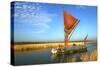 Thames Sailing Barge, Snape, Suffolk-Peter Thompson-Stretched Canvas