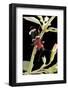 Thanasimus Formicarius (Ant Beetle, European Red-Bellied Clerid)-Paul Starosta-Framed Photographic Print