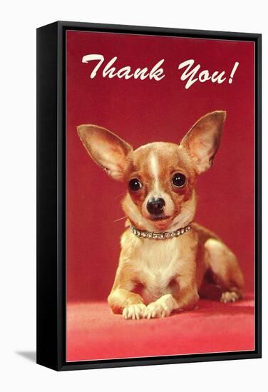 Thank You, Chihuahua-null-Framed Stretched Canvas