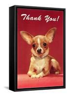 Thank You, Chihuahua-null-Framed Stretched Canvas