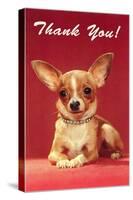 Thank You, Chihuahua-null-Stretched Canvas