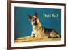 Thank You? Quizzical German Shepherd-null-Framed Premium Giclee Print