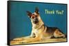 Thank You? Quizzical German Shepherd-null-Framed Stretched Canvas