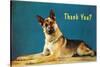 Thank You? Quizzical German Shepherd-null-Stretched Canvas