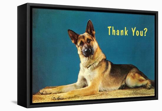 Thank You? Quizzical German Shepherd-null-Framed Stretched Canvas