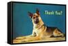 Thank You? Quizzical German Shepherd-null-Framed Stretched Canvas