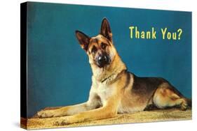 Thank You? Quizzical German Shepherd-null-Stretched Canvas