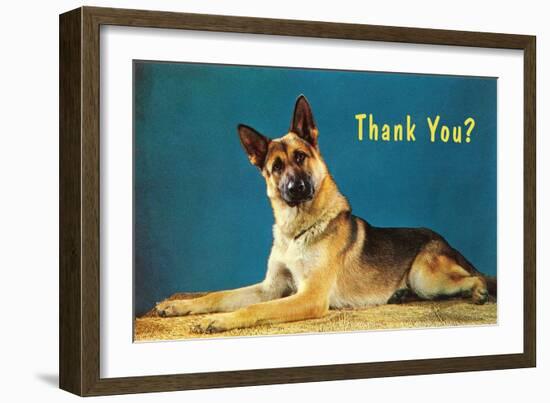 Thank You? Quizzical German Shepherd-null-Framed Art Print