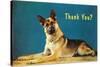 Thank You? Quizzical German Shepherd-null-Stretched Canvas