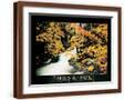 Brown Frame