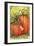 Thankful Pumpkins-Melinda Hipsher-Framed Giclee Print