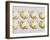 Thanksgiving Cookies-Tim Pannell-Framed Premium Photographic Print