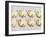 Thanksgiving Cookies-Tim Pannell-Framed Premium Photographic Print