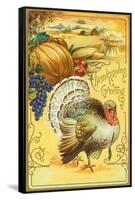 Thanksgiving Greeting, Turkey and Pumpkin-null-Framed Stretched Canvas