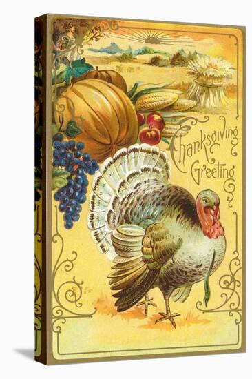 Thanksgiving Greeting, Turkey and Pumpkin-null-Stretched Canvas