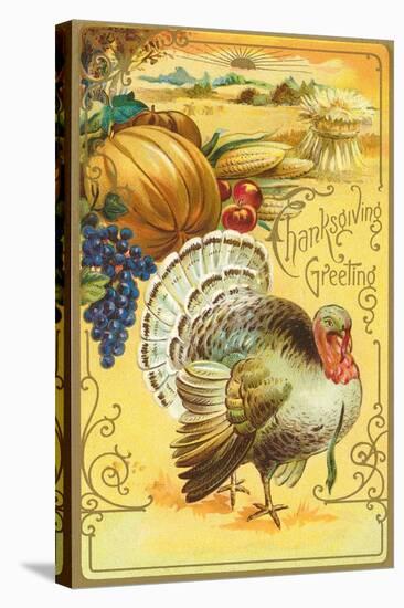 Thanksgiving Greeting, Turkey and Pumpkin-null-Stretched Canvas