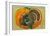 Thanksgiving Greetings, Turkey, Pumpkin-null-Framed Art Print