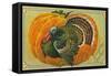 Thanksgiving Greetings, Turkey, Pumpkin-null-Framed Stretched Canvas