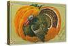 Thanksgiving Greetings, Turkey, Pumpkin-null-Stretched Canvas