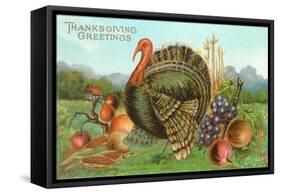 Thanksgiving Greetings, Turkey with Fruits-null-Framed Stretched Canvas
