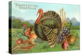 Thanksgiving Greetings, Turkey with Fruits-null-Stretched Canvas