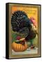 Thanksgiving Greetings, Turkey with Pumpkin, Fruit and Goblet-null-Framed Stretched Canvas