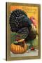 Thanksgiving Greetings, Turkey with Pumpkin, Fruit and Goblet-null-Stretched Canvas