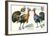 Thanksgiving Greetings, Turkeys in Hats-null-Framed Art Print