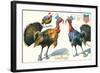 Thanksgiving Greetings, Turkeys in Hats-null-Framed Art Print