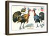 Thanksgiving Greetings, Turkeys in Hats-null-Framed Art Print