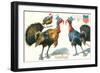 Thanksgiving Greetings, Turkeys in Hats-null-Framed Art Print