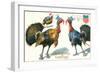 Thanksgiving Greetings, Turkeys in Hats-null-Framed Art Print