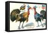 Thanksgiving Greetings, Turkeys in Hats-null-Framed Stretched Canvas