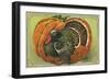 Thanksgiving Greetings with a Turkey and Pumpkin-null-Framed Giclee Print