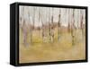 Thanksgiving-Danna Harvey-Framed Stretched Canvas