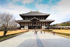 Todaiji Temple-thanomphong-Photographic Print