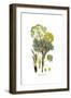 Thapsia garganica, Flora Graeca-Ferdinand Bauer-Framed Giclee Print