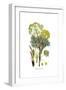 Thapsia garganica, Flora Graeca-Ferdinand Bauer-Framed Giclee Print