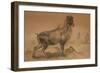 Thar-Joseph Wolf-Framed Giclee Print