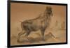 Thar-Joseph Wolf-Framed Giclee Print